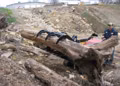 2025 Paladin Attachments Brush Grapple, Mini - Image 1