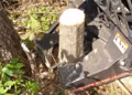 2025 Paladin Attachments Tree Shear - Image 2